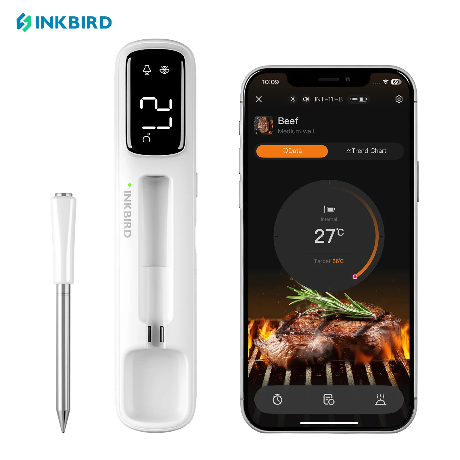 Mini Wireless Meat Thermometer with Bluetooth