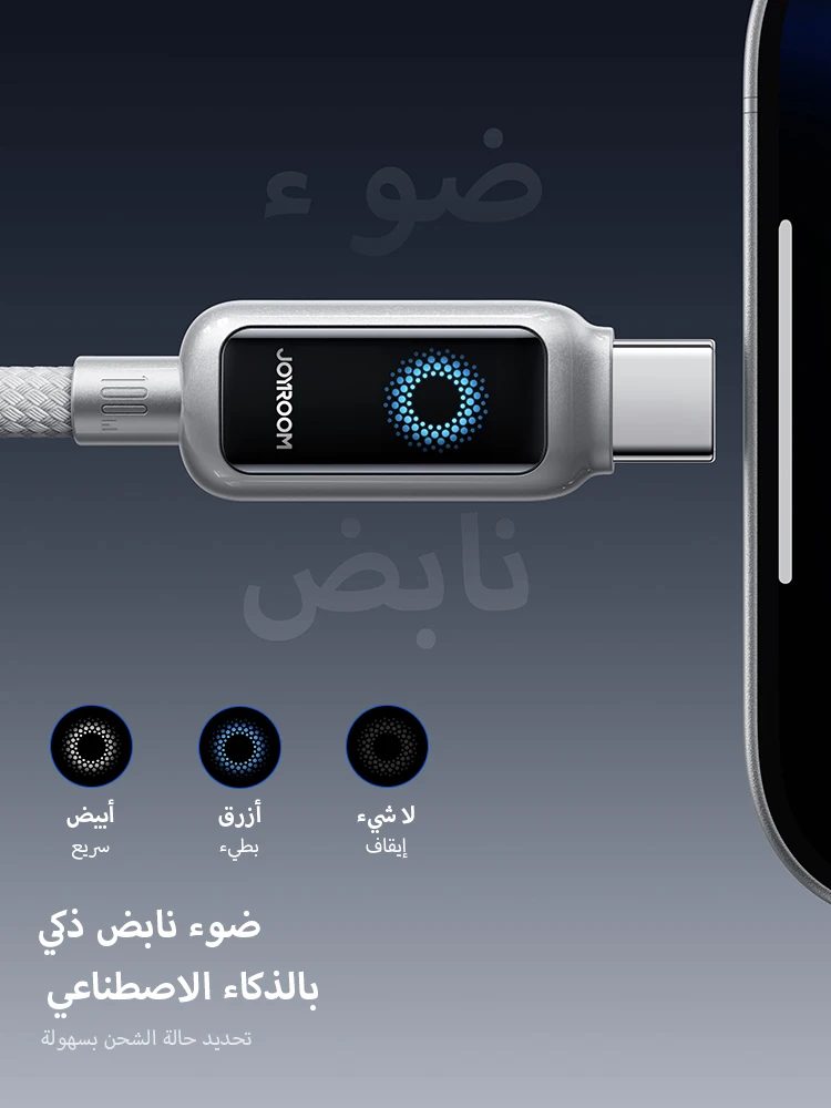 Joyroom 100W Fast Charging Type-C Cable