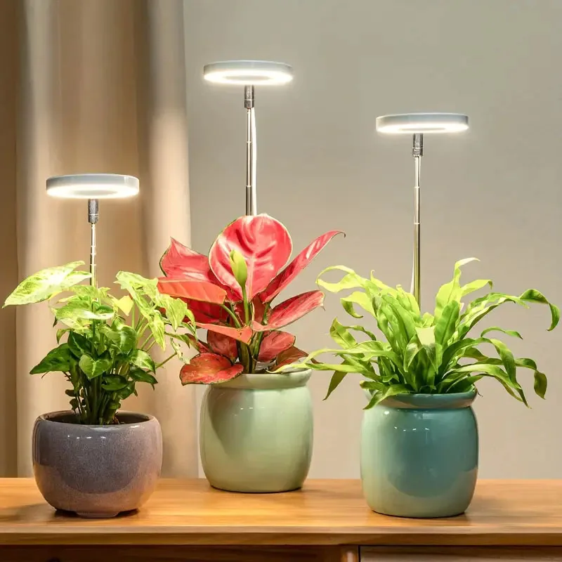 مصباح LED لتنمية النباتات الداخلية